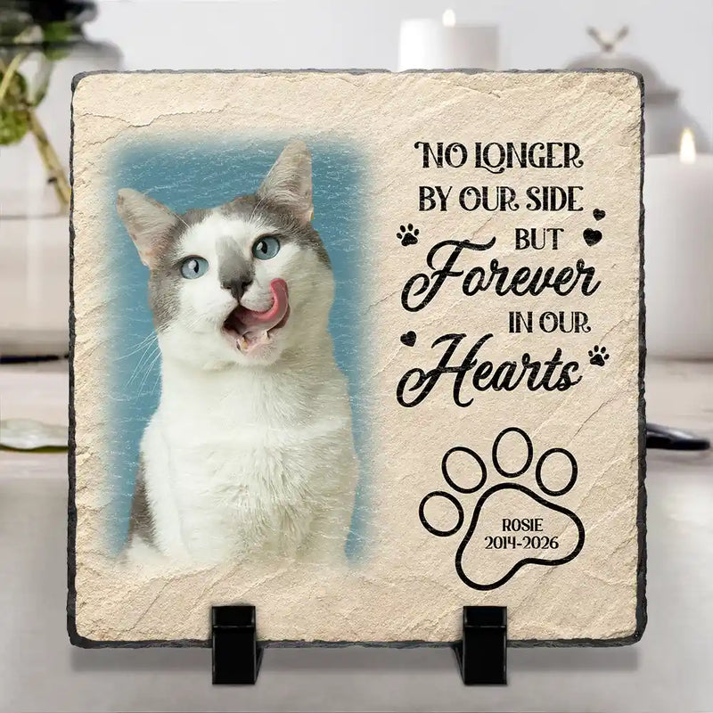 Christmas,Custom Photo,Pet Memorial,Sympathetic,Pet Lovers,Memorial,Upload Full Photo - Custom Photo Memorial Pet I Loved You Your Whole Life - Personalized Rectangle Memorial Garden Stone