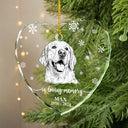 Art Design,Christmas,Pet Memorial,Cozy,Pet Lovers,Memorial,Photo - Pencil Sketch - White BG - Custom Photo Pencil Sketch Art Forever Loved Memorial Dog Cat - Personalized Heart Shaped Glass Ornament