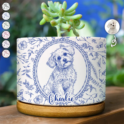 Winter Gifts For Pet Lovers