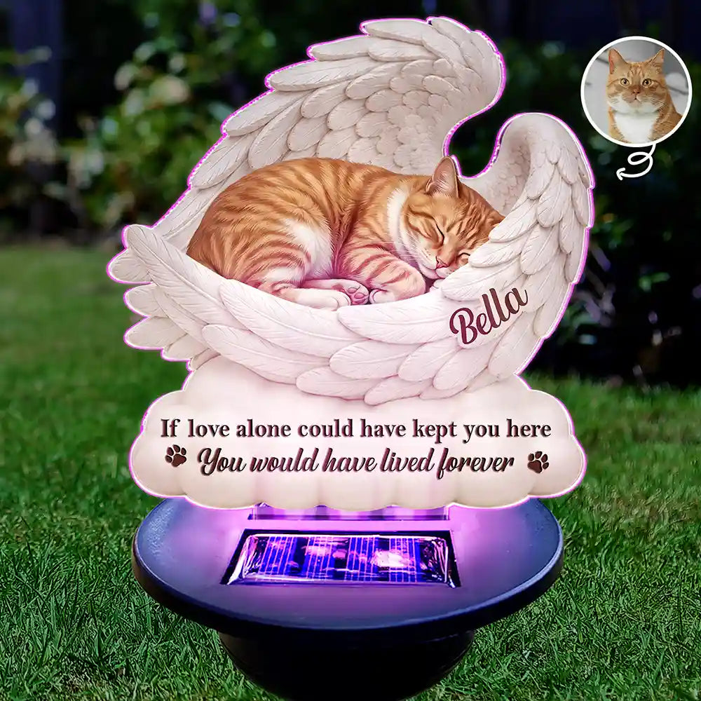 Art Design,Sentimental,Pet Lovers,Memorial,Photo - Sleeping Dog Cat Baby - Custom Photo Sleeping Angel Your Wings Were Ready Dog Pet Lovers Memorial - Personalized Solar Light