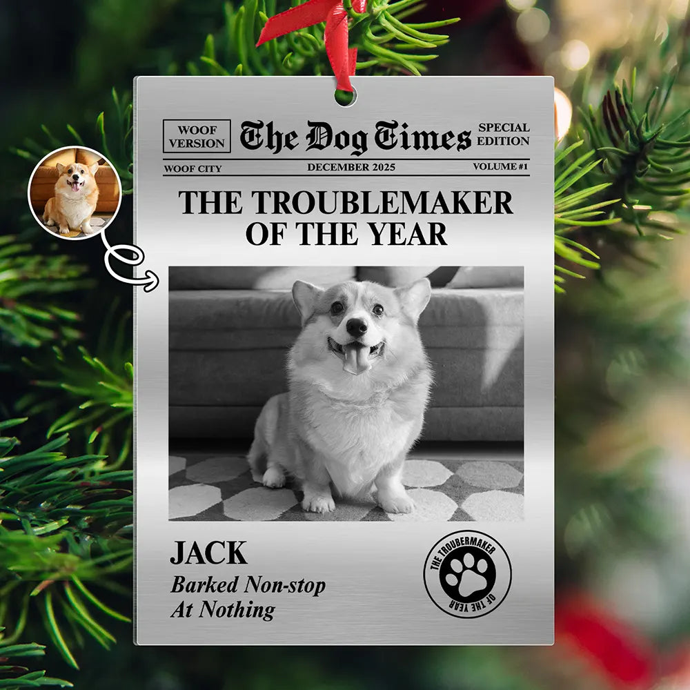 Custom Photo The Dog Times, The Meow Times - Personalized Metal Ornament