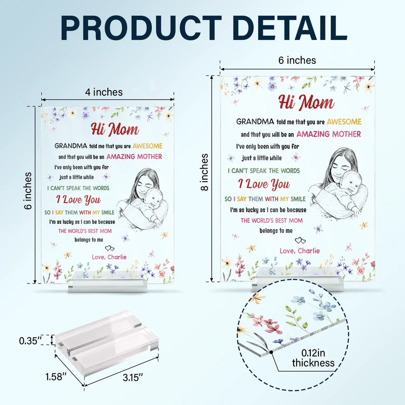 New Mom,Love,Gift For Mother,Photo - Custom Photo The World's Best Mommy Belongs To Me - Personalized Vertical Rectangle Acrylic Plaque