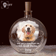 Art Design,Christmas,Pet Memorial,Sympathetic,Pet Lovers,Memorial,Photo - Watercolor - With BG - Custom Photo Watercolor Painting Memorial Pet Forever Loved - Personalized Round Flat Bottle Light