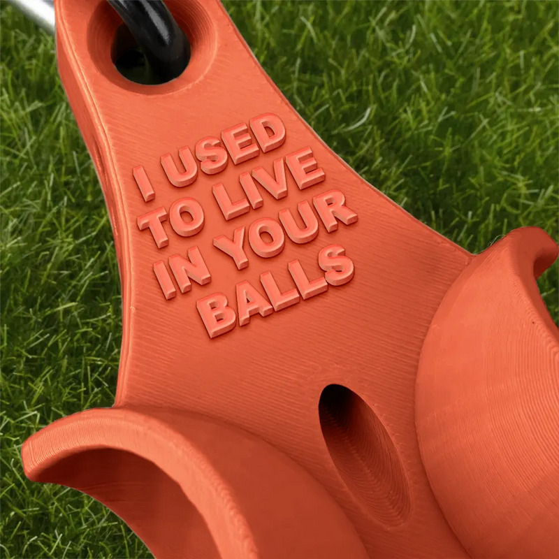 Funny,Golf,Sport Dad,Gift For Husband,Gift For Boyfriend,Gift For Men,Gift For Yourself,Gift For Grandpa,Dad's Hobby,Grandma's Hobby,Gift For Father - Custom Photo We Used To Live In Your Balls - Personalized 3D Printed Golf Ball Tee Holder