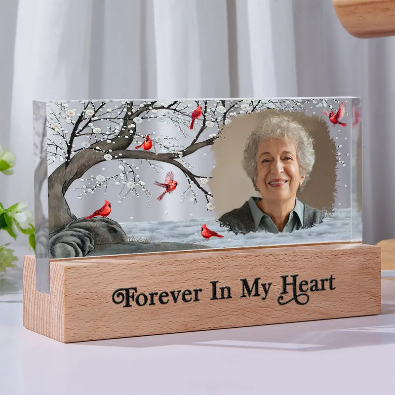 Sad,Memorial,Gift For Grandparents,Gift For Sibling,Family,Parents,Pet Lovers - Custom Photo When You Miss Me Have No Fear Memorial - Personalized Rectangle LED Light