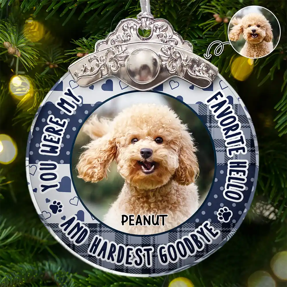 Custom Photo You Were Favorite Hello Memorial Pet - Personalized Glass Ornament With Silver Cap