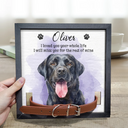 Top Market, Art Design, Sentimental, Pet Lovers, Memorial, Photo - Watercolor - Remove BG - Custom Photo Realistic Watercolor Art Dog Cat If Love Alone Could Have Kept You Here - Personalized Pet Loss Sign, Collar Frame