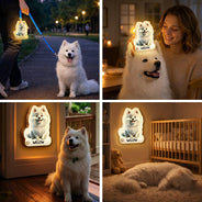 Pet Lovers,Playful,Vector - Cute 3D Effect Dog And Cat With Name - Personalized Motion Sensor Night Light
