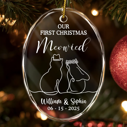 Our First Christmas Meowied Cat Lover Couple - Personalized Oval Glass Ornament