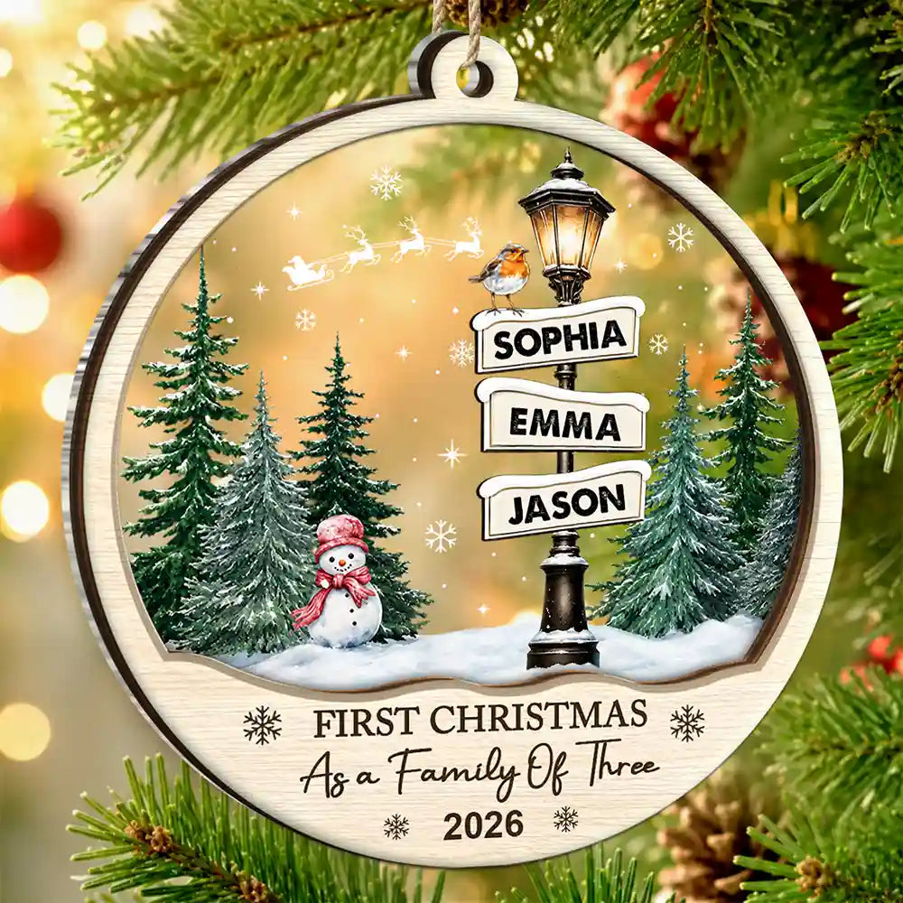 First Christmas Family Road Sign - Personalized 2-Layered Mix Ornament