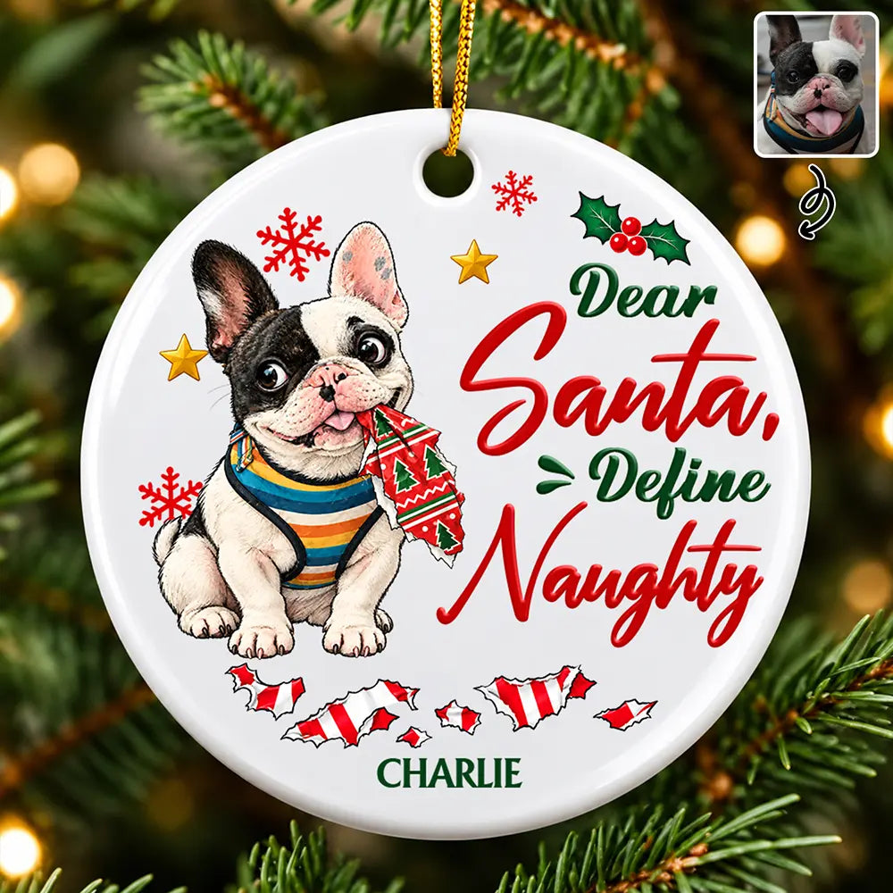 Art Design, Christmas, Custom Photo, Dog Lovers, Humorous, Indoor Decor, Pet Lovers, Photo - Whimsical Cartoon Pet, Top Market - Funny Christmas Gift For Dog Lovers - Personalized Custom Photo Dear Santa Define Naughty Circle Ceramic Ornament