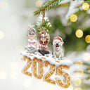 Family,Pet Lovers,Happy,Christmas - Christmas Apple Pie Couple With Pets 3D Effect - Personalized Custom Shaped Acrylic Ornament