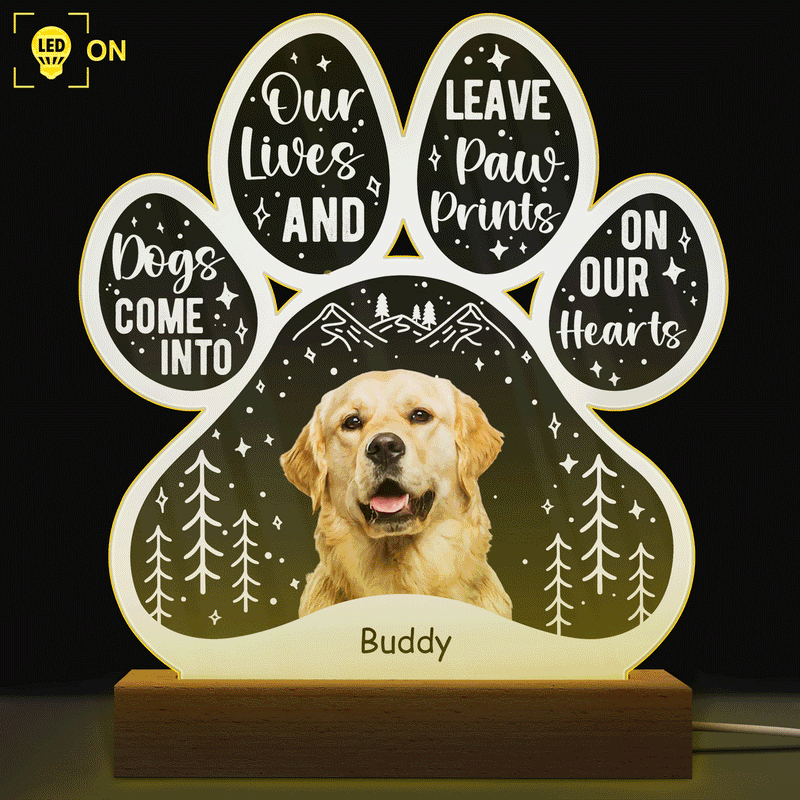 Custom Photo Dogs Come Into Our Lives - Grief, Sympathy, Memorial Gift For Family, Remembrance, Dog, Cat, Pet Owner - Personalized Custom 3D Led Light Wooden Base