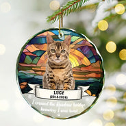 Custom Photo You Were My Favorite Hello And Hardest Goodbye - Personalized Circle Glass Ornament