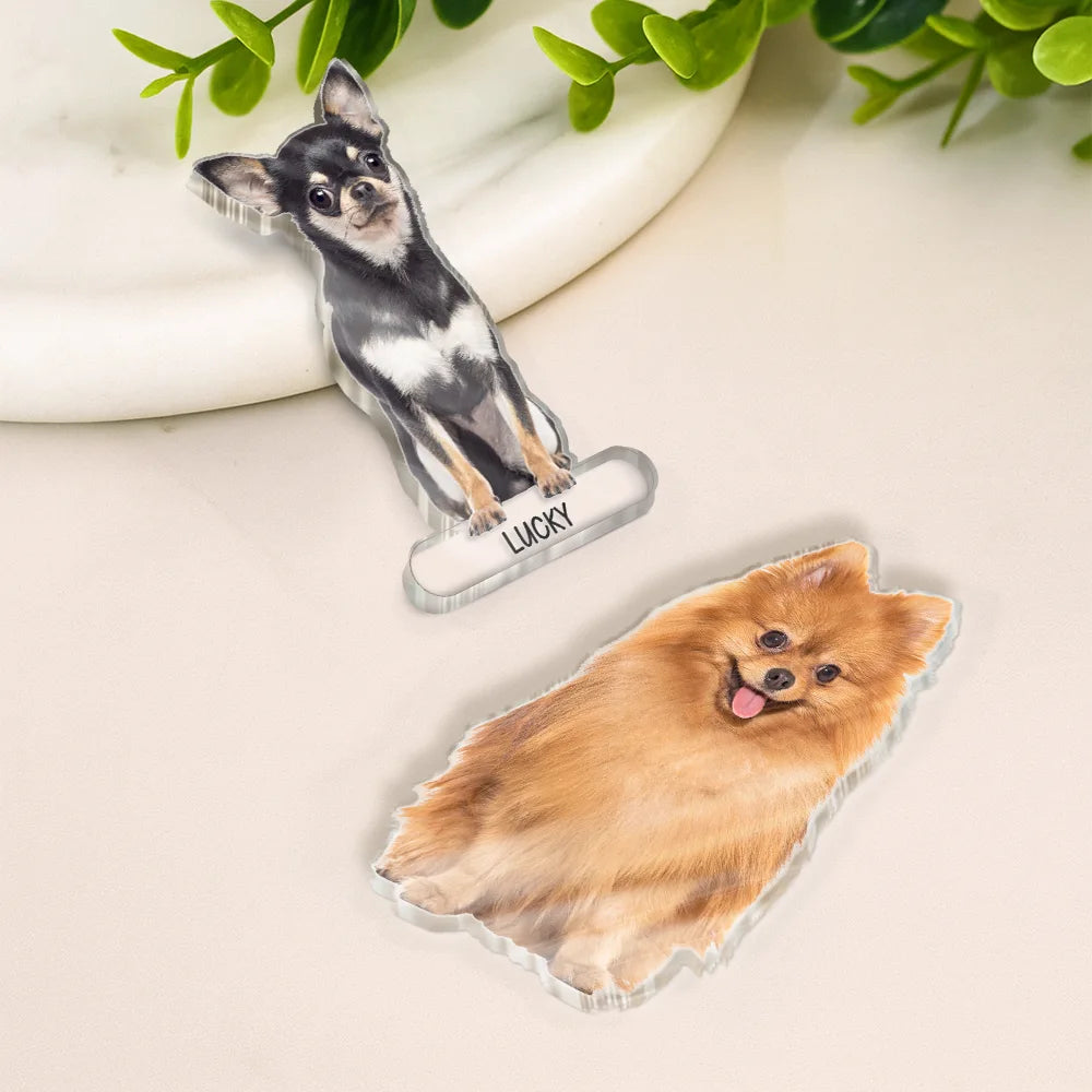 Custom Photo Cute Dog And Cat Gift For Pet Lovers - Personalized Acrylic Fridge Magnet
