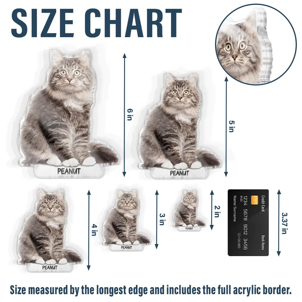 Custom Photo Cute Dog And Cat Gift For Pet Lovers - Personalized Acrylic Fridge Magnet