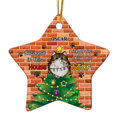 Star Ceramic Ornament