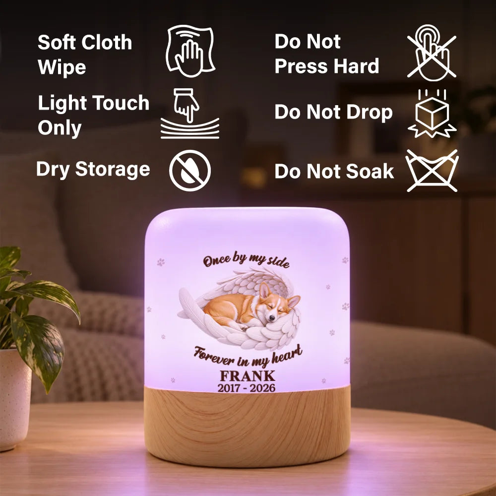 Memorial Pet Dog Cat Sympathy Gift - Personalized Custom Photo Forever In My Heart Touch Night Light