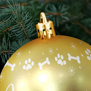 Family, Happy, Christmas - Christmas Ornaments With Name - Personalized Ball Ornament