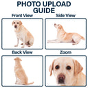 Pet Lovers,Pet Mom,Pet Dad,Cat Lovers,Cat Mom,Cat Dad,Dog Lovers,Dog Mom,Dog Dad,Happy - Custom Pet Bobblehead Full Body Figurine With Nameplate For Pet Moms Pet Dads - Personalized Bobblehead