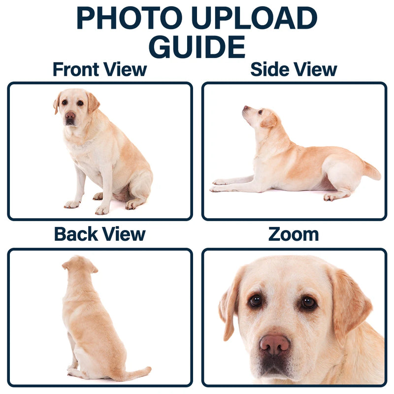 Pet Lovers,Pet Mom,Pet Dad,Cat Lovers,Cat Mom,Cat Dad,Dog Lovers,Dog Mom,Dog Dad,Happy - Custom Pet Figurine Full Body Sculpture With Nameplate For Pet Moms Pet Dads - Personalized Clay Figurine