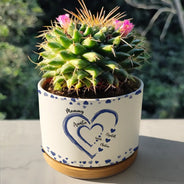 Gift For Mother, Gift For Grandma, Love - Mom Grandma Sweethearts - Personalized Ceramic Plant Pot