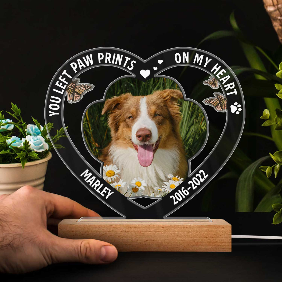 Custom Photo Dog Cat My Favorite Hello & Hardest Goodbye - Pet Memorial Gift, Sympathy Gift - Personalized 3D Led Light Wooden Base
