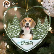 Pet, Cat, Dog - Custom Photo Pet Face Dog Cat Memorial - Personalized Heart Shaped Glass Ornament