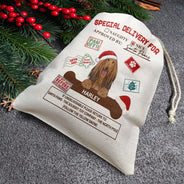 Special Delivery From Santa Paws - Personalized Favor Bag