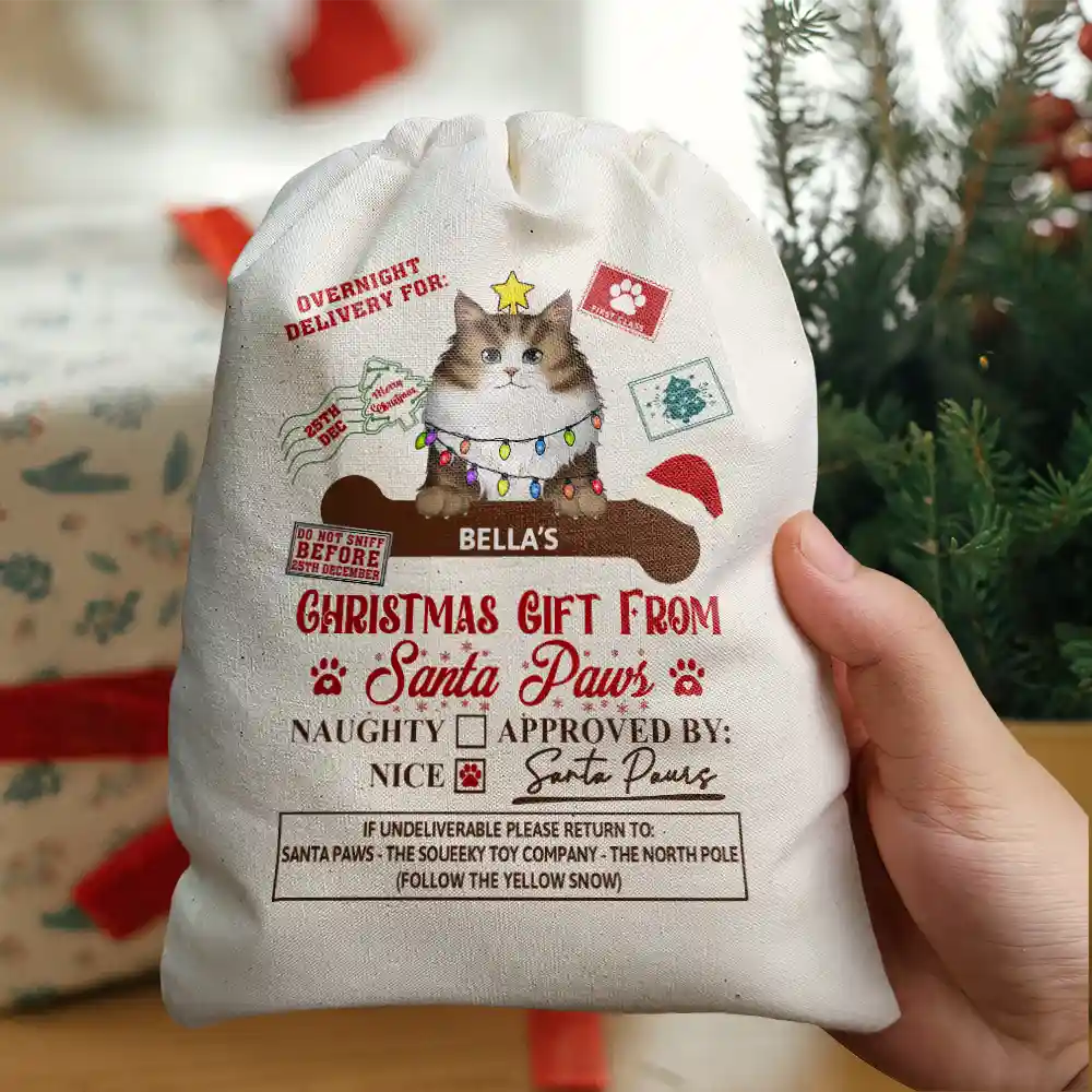 Christmas Gift From Santa Paws - Personalized Favor Bag