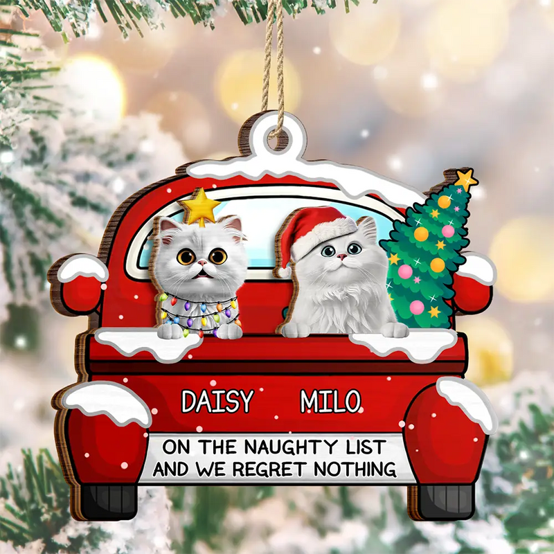 Cat Lovers,Cat Mom,Cat Dad,Funny,Christmas - On The Naughty List - Personalized 2-Layered Wooden Ornament