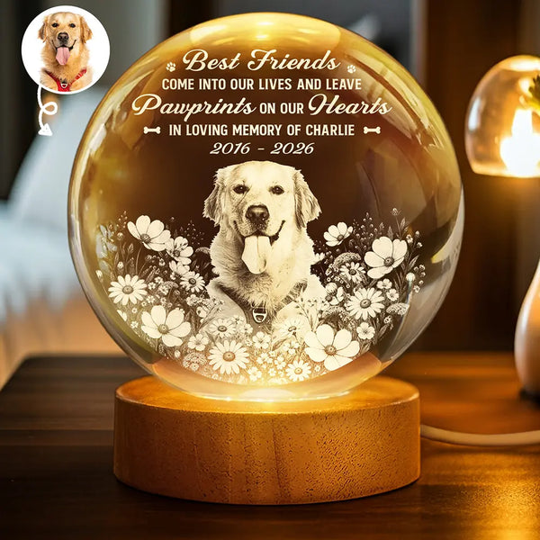 Custom Photo,Memorial,Pet Lovers,Pet Memorial,Remove BG Photo,Sentimental,Top Market - Pet Loss Sympathy Gift - Personalized Custom Photo Flower Field Crystal Globe Lamp