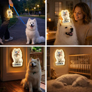 Independence Day,Pet Lovers,Playful,Vector - Patriotic Dog Cat With Name - Personalized Motion Sensor Night Light