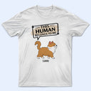 This Human Belongs To - Gift For Cat Lovers - Personalized T Shirt