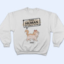 This Human Belongs To - Gift For Cat Lovers - Personalized T Shirt