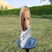 Sentimental,Custom Photo,Pet Lovers,Memorial,Upload Full Photo - Custom Photo I Will Carry You With Me - Personalized Solar Light