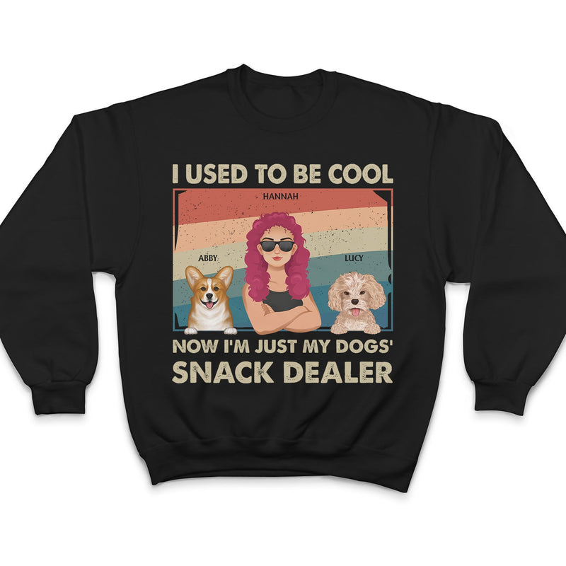 I Used To Be Cool - Gift For Dog Lovers, Dog Mom, Dog Dad - Personalized T Shirt