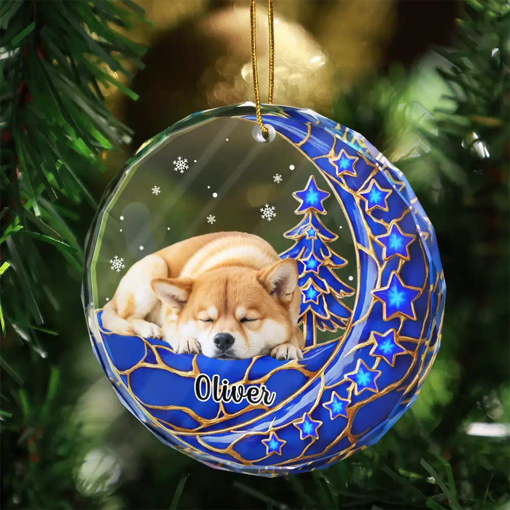 Christmas, Memorial, Pet Lovers, Pet Memorial, Sympathetic, Top Market, Vector - Pet Memorial Christmas Gift - Personalized Dog Cat Sitting On The Moon Circle Glass Ornament