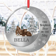 Dog Lovers,Pet Lovers,Sad,Memorial - The Brightest Star In The Sky - Personalized Metal Ornament