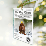 Pet Lovers,Pet Mom,Pet Dad,Dog Lovers,Dog Mom,Dog Dad,Cat Lovers,Cat Mom,Cat Dad,Christmas,Funny,Non-Eng - The Dog Times The Meow Times - Personalized Custom Shaped Acrylic Ornament