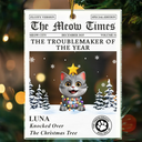 Pet Lovers,Pet Mom,Pet Dad,Dog Lovers,Dog Mom,Dog Dad,Cat Lovers,Cat Mom,Cat Dad,Christmas,Funny,Non-Eng - The Dog Times The Meow Times - Personalized Custom Shaped Acrylic Ornament