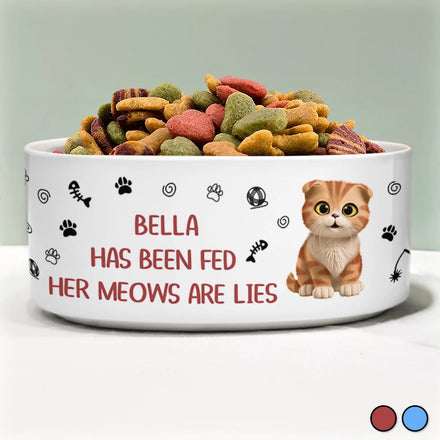 The Meows Are Lies - Personalized Pet Bowl