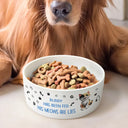 Cat Lovers,Cat Mom,Cat Dad - The Meows Are Lies - Personalized Pet Bowl