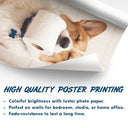 Custom Photo, Art Design, Pet Lovers, Humorous, Photo - Funny Bathroom Pet - Custom Photo Funny Bathroom Pet Toilet Dog Cat - Personalized Poster