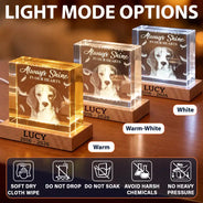 Cozy,Custom Photo,Indoor Decor,Memorial,Pet Lovers,Pet Memorial,Remove BG Photo - Pet Memorial Gift For Dog Lovers - Personalized Custom Photo Your Light Will Always Shine Crystal Cube Lamp