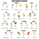 Gift For Women,Gift For Daughter,Gift For Bestie,Happy,Graduation,Top Market,Icon - Birth Month Flower The New Chapter - Personalized Hardcover Journal