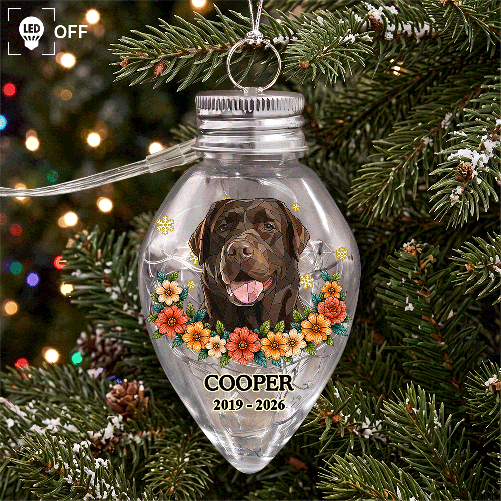Art Design,Christmas,Custom Photo,Memorial,Pet Lovers,Pet Memorial,Photo - Stained Glass,Sentimental - Memorial Gift For Pet Lovers - Personalized Custom Photo Stained Glass Your Light Will Always Shine In My Heart Chili Bulb LED Light