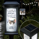 Christmas, Custom Photo, Sympathetic, Pet Lovers, Memorial, Remove BG Photo - Custom Photo Memorial Pet No Longer By My Side But Forever in My Heart - Personalized Solar Garden Light