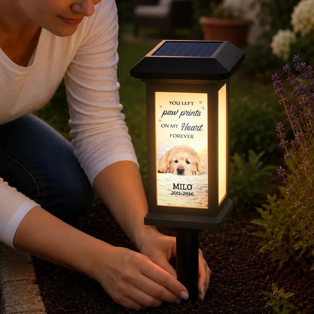 Christmas, Custom Photo, Sympathetic, Pet Lovers, Memorial, Remove BG Photo - Custom Photo Memorial Pet No Longer By My Side But Forever in My Heart - Personalized Solar Garden Light