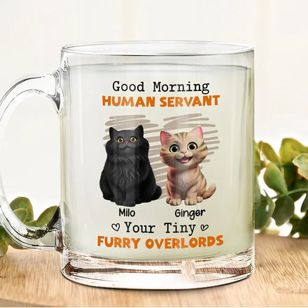 Good Morning Human Servant Funny Cat - Personalized Glass Mug